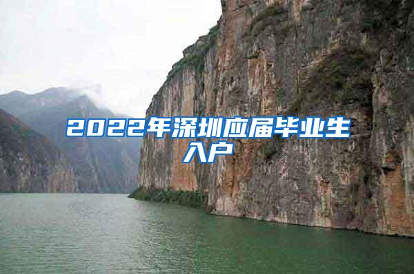 2022年深圳应届毕业生入户