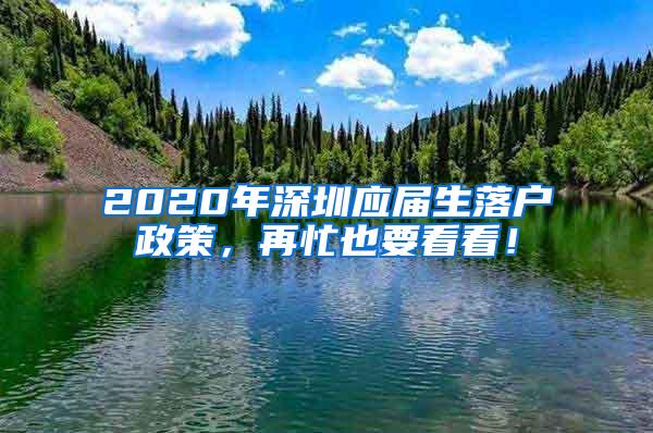 2020年深圳应届生落户政策，再忙也要看看！