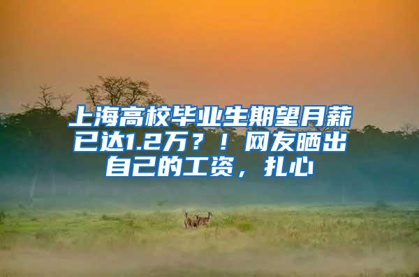 上海高校毕业生期望月薪已达1.2万？！网友晒出自己的工资，扎心