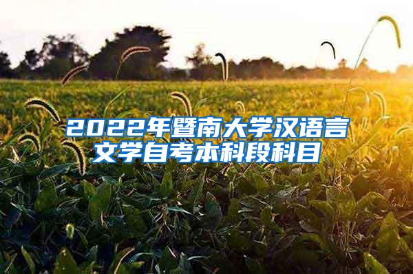 2022年暨南大学汉语言文学自考本科段科目