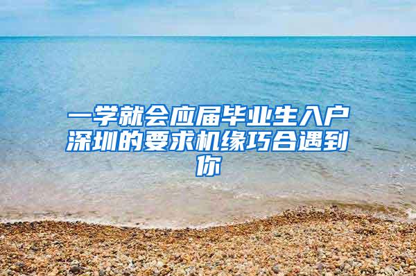 一学就会应届毕业生入户深圳的要求机缘巧合遇到你