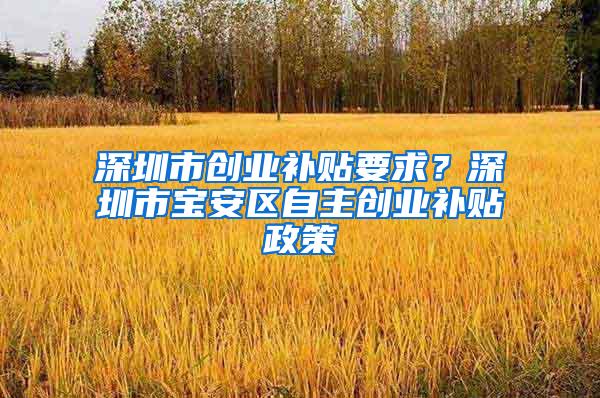 深圳市创业补贴要求？深圳市宝安区自主创业补贴政策