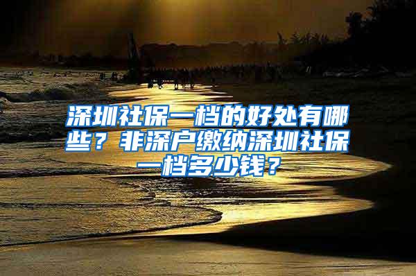 深圳社保一档的好处有哪些？非深户缴纳深圳社保一档多少钱？