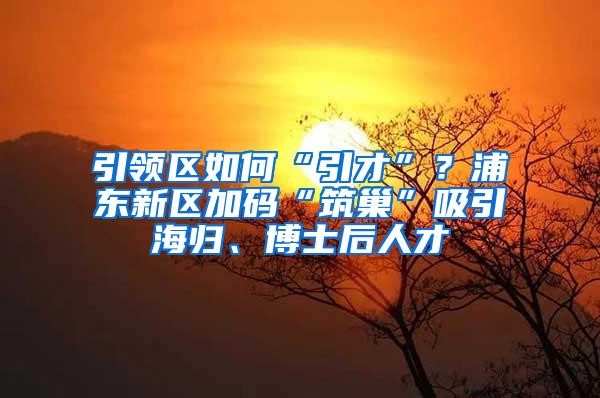 引领区如何“引才”？浦东新区加码“筑巢”吸引海归、博士后人才