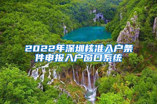 2022年深圳核准入户条件申报入户窗口系统