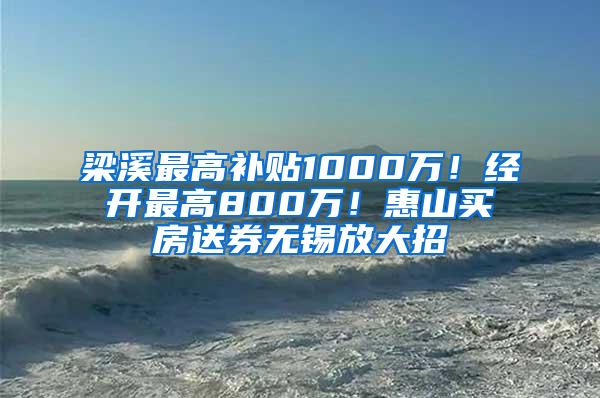 梁溪最高补贴1000万！经开最高800万！惠山买房送券无锡放大招