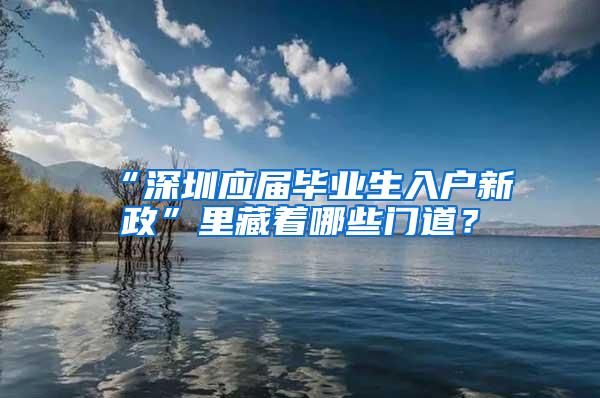 “深圳应届毕业生入户新政”里藏着哪些门道？