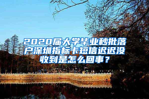 2020届大学毕业秒批落户深圳指标卡短信迟迟没收到是怎么回事？