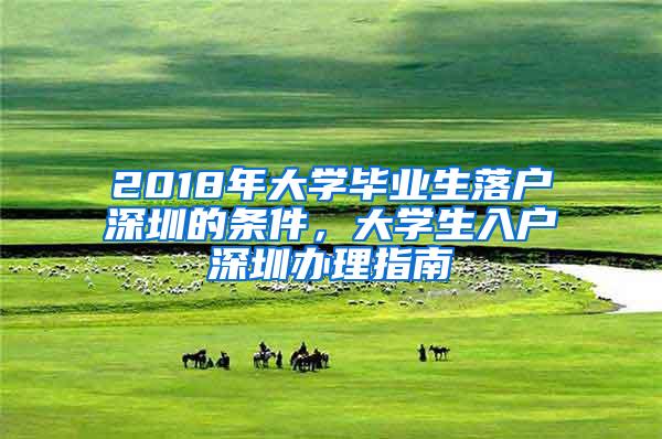 2018年大学毕业生落户深圳的条件，大学生入户深圳办理指南