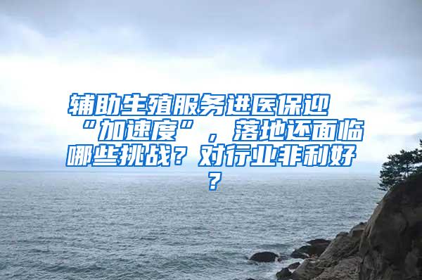 辅助生殖服务进医保迎“加速度”，落地还面临哪些挑战？对行业非利好？