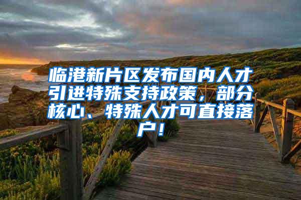 临港新片区发布国内人才引进特殊支持政策，部分核心、特殊人才可直接落户！