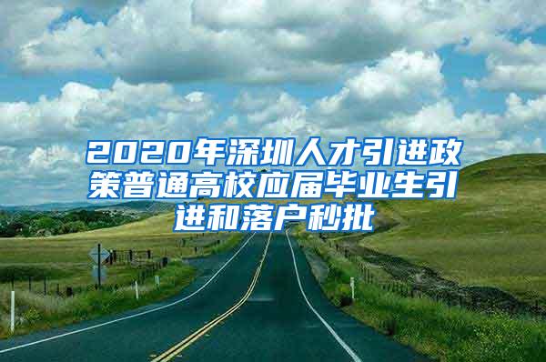 2020年深圳人才引进政策普通高校应届毕业生引进和落户秒批