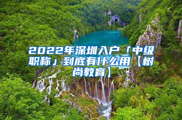 2022年深圳入户「中级职称」到底有什么用【树尚教育】