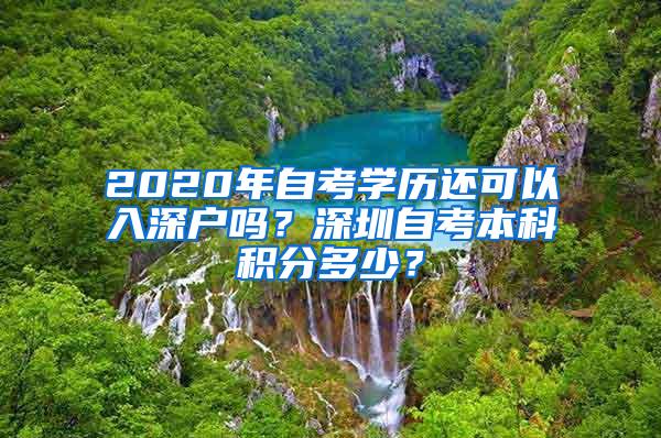 2020年自考学历还可以入深户吗？深圳自考本科积分多少？