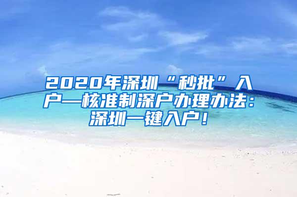 2020年深圳“秒批”入户—核准制深户办理办法：深圳一键入户！