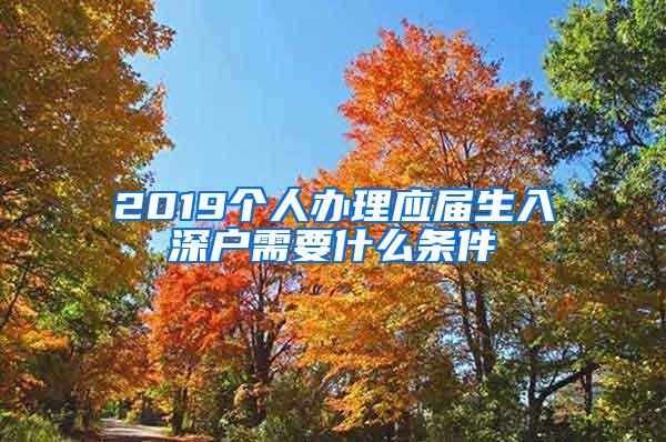 2019个人办理应届生入深户需要什么条件