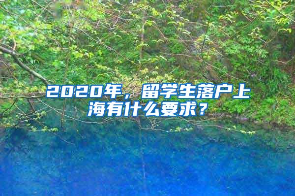 2020年，留学生落户上海有什么要求？