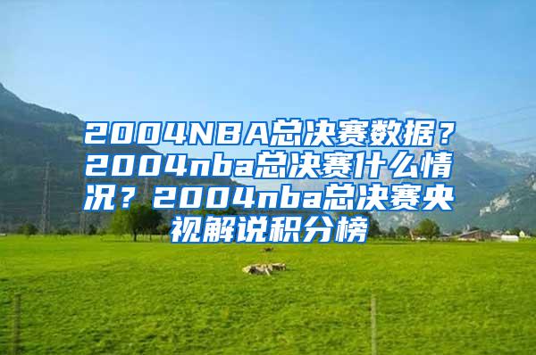 2004NBA总决赛数据？2004nba总决赛什么情况？2004nba总决赛央视解说积分榜