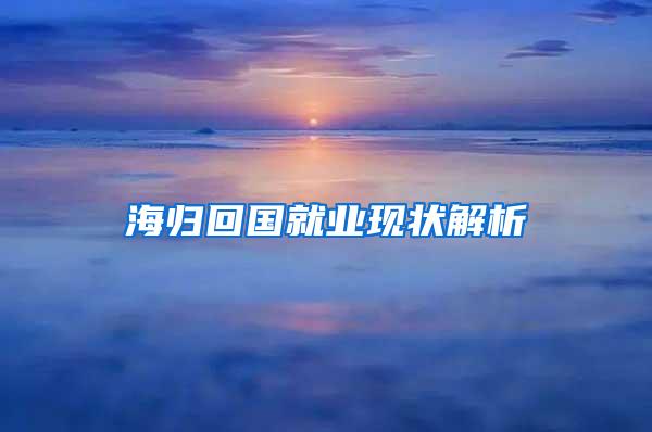 海归回国就业现状解析