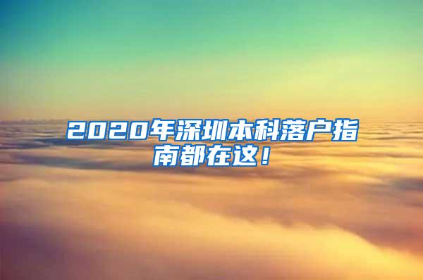 2020年深圳本科落户指南都在这！