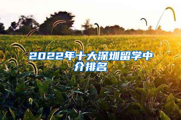 2022年十大深圳留学中介排名