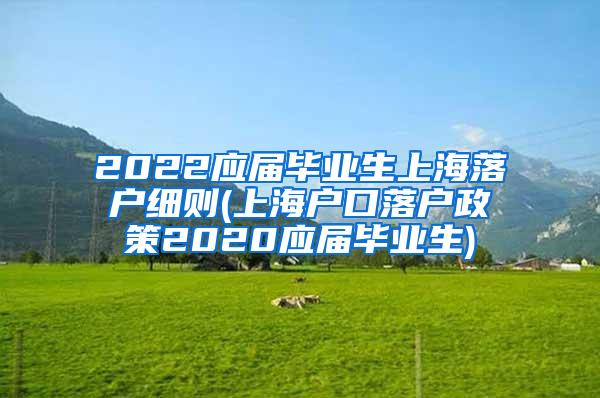 2022应届毕业生上海落户细则(上海户口落户政策2020应届毕业生)