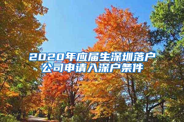 2020年应届生深圳落户公司申请入深户条件