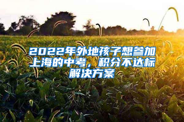 2022年外地孩子想参加上海的中考，积分不达标解决方案