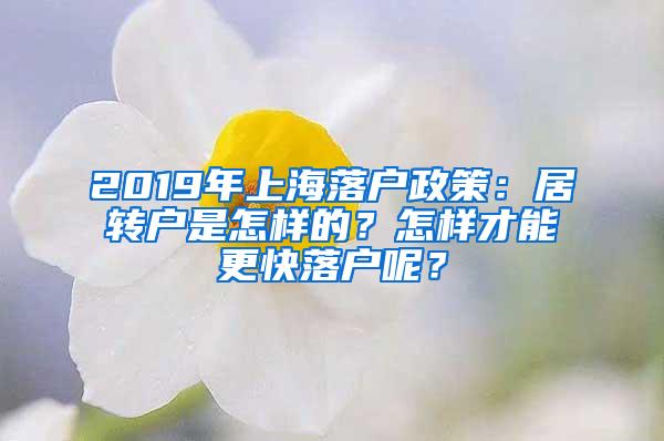 2019年上海落户政策：居转户是怎样的？怎样才能更快落户呢？