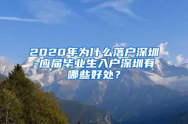 2020年为什么落户深圳-应届毕业生入户深圳有哪些好处？