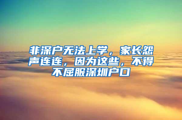 非深户无法上学，家长怨声连连，因为这些，不得不屈服深圳户口