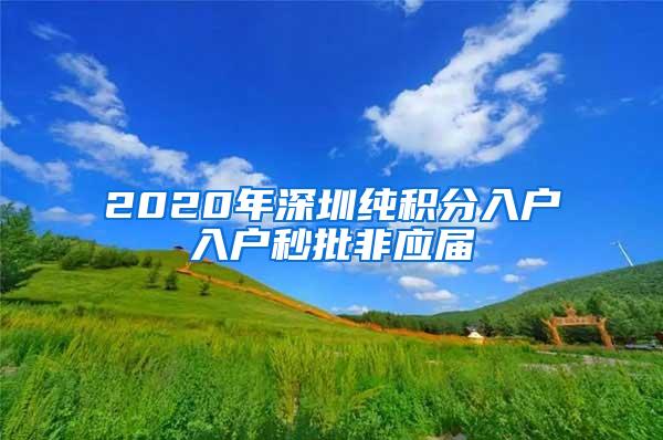 2020年深圳纯积分入户入户秒批非应届