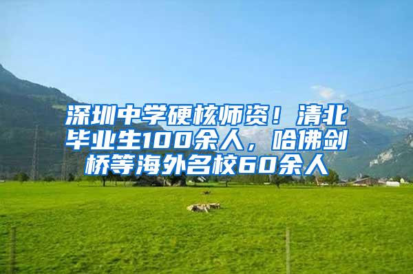 深圳中学硬核师资！清北毕业生100余人，哈佛剑桥等海外名校60余人