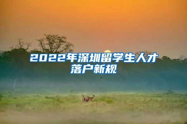 2022年深圳留学生人才落户新规