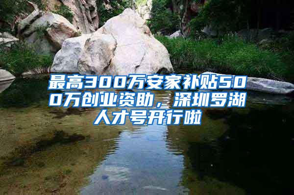 最高300万安家补贴500万创业资助，深圳罗湖人才号开行啦