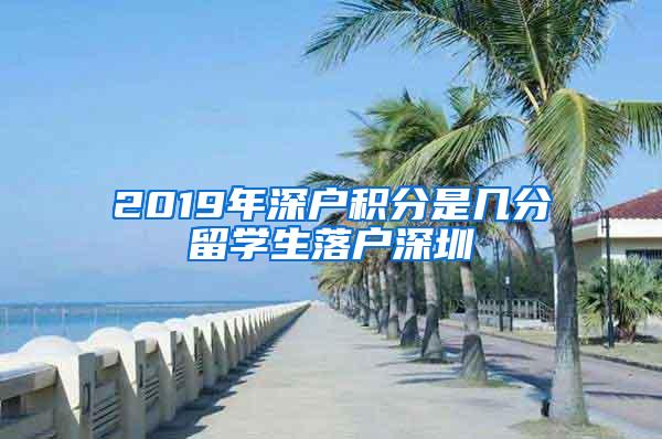 2019年深户积分是几分留学生落户深圳