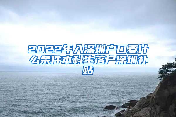 2022年入深圳户口要什么条件本科生落户深圳补贴