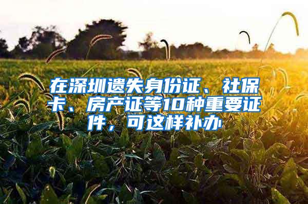 在深圳遗失身份证、社保卡、房产证等10种重要证件，可这样补办