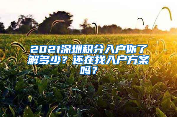 2021深圳积分入户你了解多少？还在找入户方案吗？