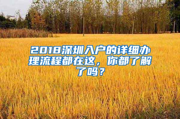 2018深圳入户的详细办理流程都在这，你都了解了吗？