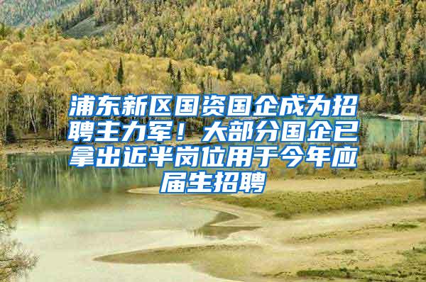 浦东新区国资国企成为招聘主力军！大部分国企已拿出近半岗位用于今年应届生招聘