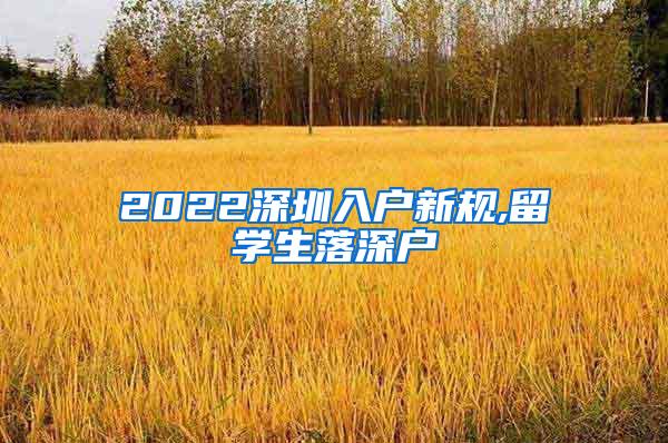 2022深圳入户新规,留学生落深户