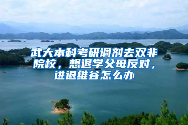 武大本科考研调剂去双非院校，想退学父母反对，进退维谷怎么办