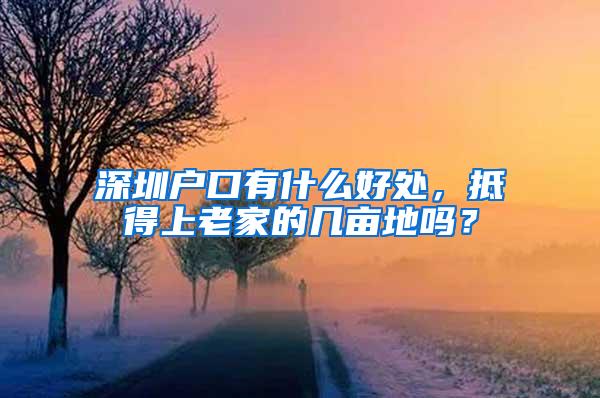 深圳户口有什么好处，抵得上老家的几亩地吗？