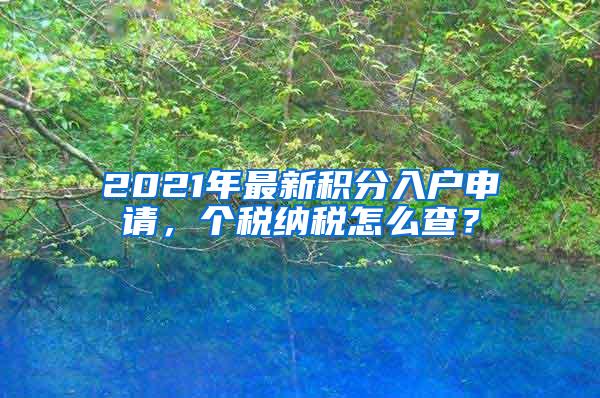 2021年最新积分入户申请，个税纳税怎么查？