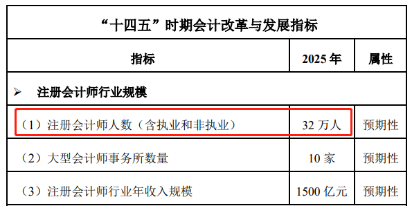 注册会计师十四五规划