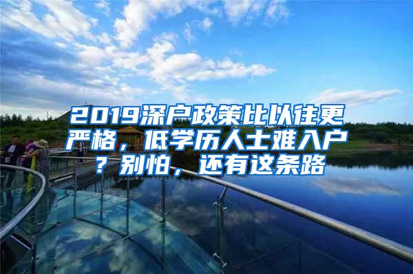 2019深户政策比以往更严格，低学历人士难入户？别怕，还有这条路