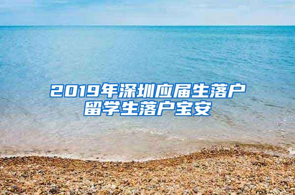 2019年深圳应届生落户留学生落户宝安