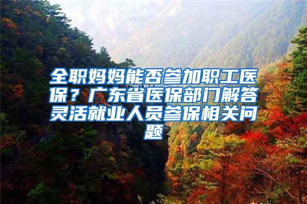 全职妈妈能否参加职工医保？广东省医保部门解答灵活就业人员参保相关问题