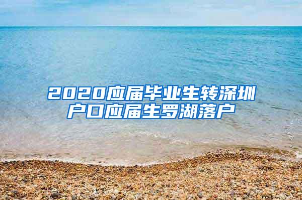 2020应届毕业生转深圳户口应届生罗湖落户